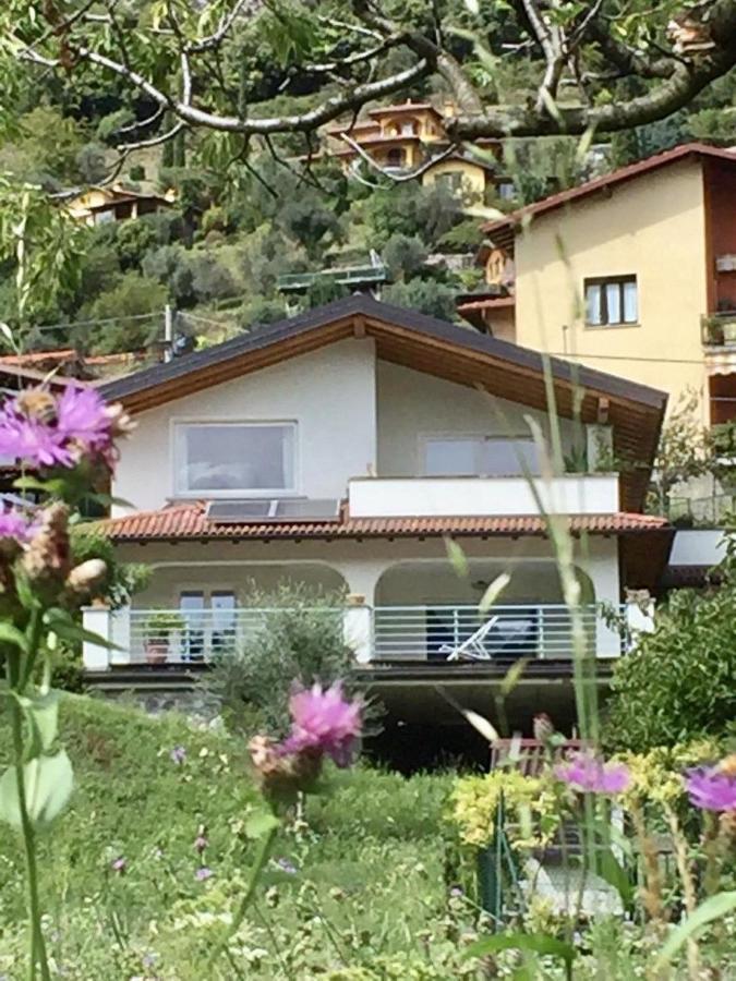Villa 3 Olivi - sleep 5 - in Lenno Esterno foto